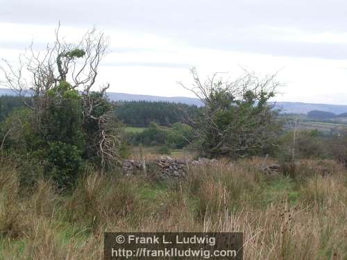 Around Lough Arrow